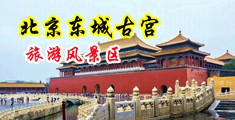 操一级淫乱骚浪屄视频中国北京-东城古宫旅游风景区